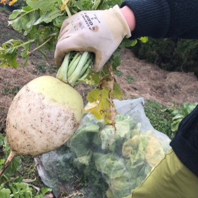 兵庫県立大学の学生団体 畑っこの公式アカウントです!地域の方々と無農薬の野菜や果物を育てています🍅毎週水曜日13時30分から兵庫県立大学環境人間キャンパス内の畑で活動中🥦