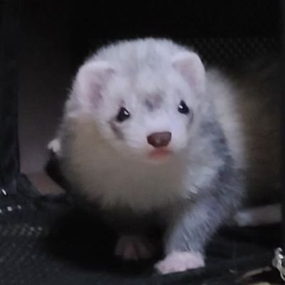 radio_Comac's profile picture. 最近仕事中にこっそりradikoでRKBラジオを聞いてる会社員です。

番組にコメント送りたいけど、文面をどうすればいいのか分からず、コメントや、リクエストを送れない悲しみ( ;_; )