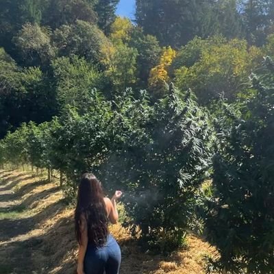 🌲Humboldt CA🌲Plant Mama🌲 Lady Boss Cultivating with Conscience🌲A Cannabis lover and farmer who enjoys gardening 🌱🌿 Grow Sponsor