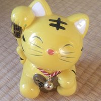 烈風ー団🌟 (@kss1hzjkjs3v5wq) 's Twitter Profile