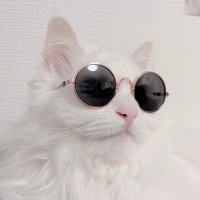 モギ (@monoxi) 's Twitter Profile Photo モギ (@monoxi) 's Twitter Profile Photo