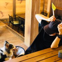 まめつぶ (@mame_mametaroo) 's Twitter Profile Photo まめつぶ (@mame_mametaroo) 's Twitter Profile Photo