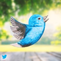 Tariq👀 (@tweetoopk) 's Twitter Profile