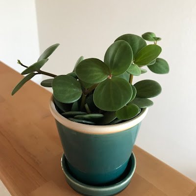 GG98065761's profile picture. 