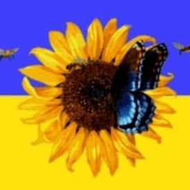 B2RQY0OY4Zph2u0's profile picture. 