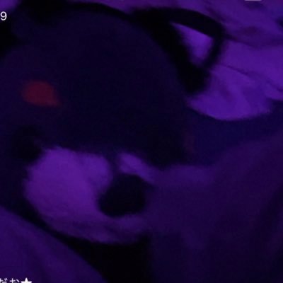 斗ー真すさんのプロフィール画像
