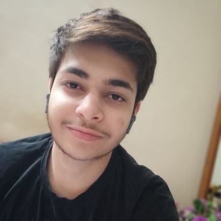 ArnayMittal's profile picture. 