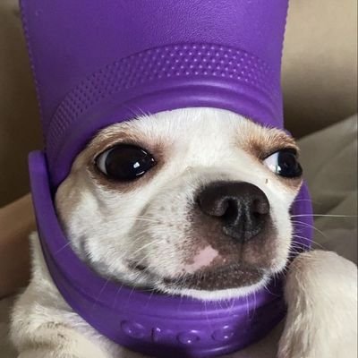 RuiTakoyakiさんのプロフィール画像