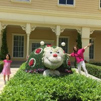 あん❤︎きょん (@kyontau_anrisa) 's Twitter Profile Photo