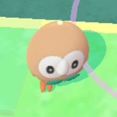 木綿さんのプロフィール画像