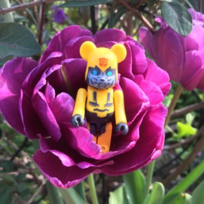 片倉 凌さんのプロフィール画像