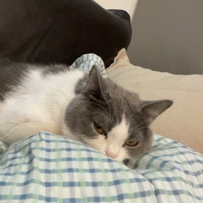 5d3DeqZALzSWdDc's profile picture. 喜欢壮狒狒