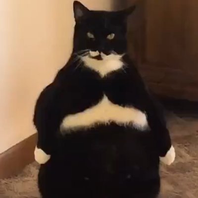 Elliot32245269's profile picture. Fastest genji somewhere

yt - https://t.co/EfjLsmMvwk…