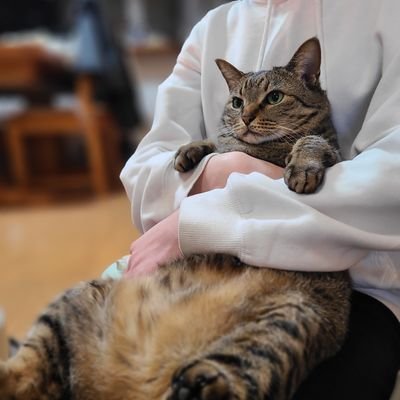 kozy_bicycle's profile picture. DEROSA SKとELVES VANYAR
自転車通勤時々ヒルクライム@脊振登坂愛好会