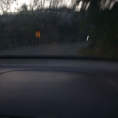 LuisEnr52517902's profile picture. 