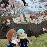ゆうき (@youki_02i3325) 's Twitter Profile Photo ゆうき (@youki_02i3325) 's Twitter Profile Photo