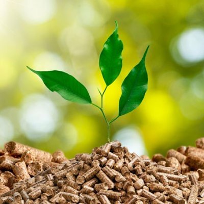 Blog sobre #biomasa y #economíacircular
Estate al día en las novedades sobre biomasa
Por un planeta más limpio y #sostenible basado en la economía circular