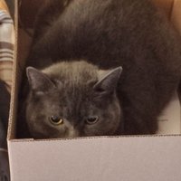 Werner Matthias (@matthia61944486) 's Twitter Profile