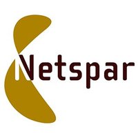 Netspar(@Netspar) 's Twitter Profile Photo