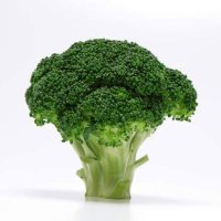 broccoli (@dal6393) Twitter profile photo