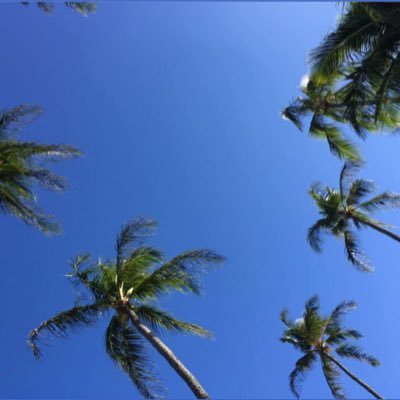空・海・サーフィン・フラ・ハワイ・テニス大好き🎾 内山選手・マクラクラン選手・松井選手・太郎選手・錦織選手・西岡選手・大前選手・…🏄🏻カノア五十嵐、🏹アーチェリー 🇯🇵・🎤TravisJapan(げん担)を応援しています。