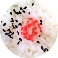 pal. (@pal_custom_ii) 's Twitter Profile