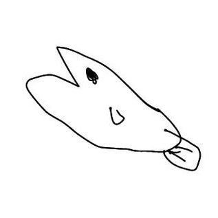 めだかさんのプロフィール画像