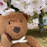 めいめい🧸 (@meikuma18) 's Twitter Profile Photo めいめい🧸 (@meikuma18) 's Twitter Profile Photo