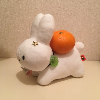 みかん先生🍊