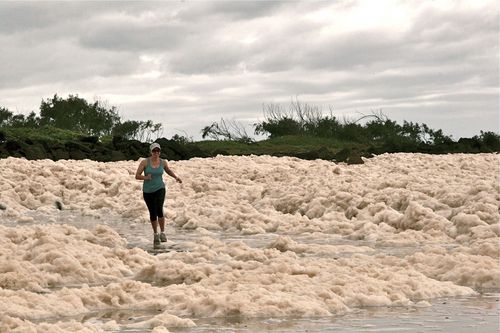 ZZooee1's profile picture. Wine PR consultant living in Melbourne. Chardy-lover, chocoholic with potential to be a crazy cat lady. Just need to get me a cat.