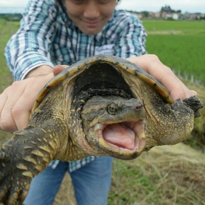 東京でとって食べる生活🐾さんのプロフィール画像