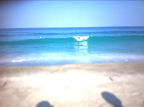 taPooe73ride's profile picture. サーフィン ニャンコ 語学 IT