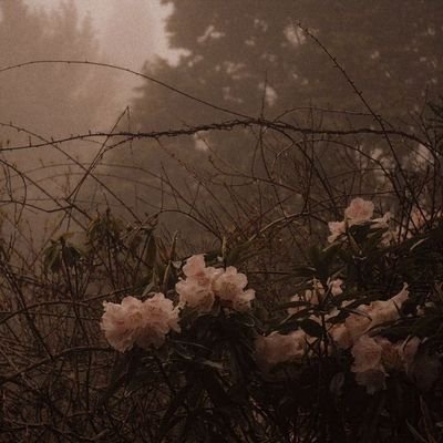 aj_Mikael's profile picture. 