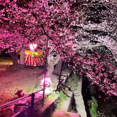 16deguda's profile picture. 