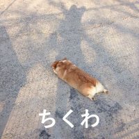 ちくわ (@chikuwa_robo) Twitter profile photo