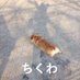 ちくわ (@chikuwa_robo) Twitter profile photo ちくわ (@chikuwa_robo) Twitter profile photo