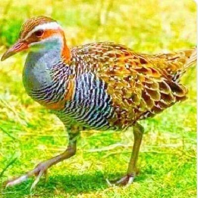 Ladis68279774's profile picture. We