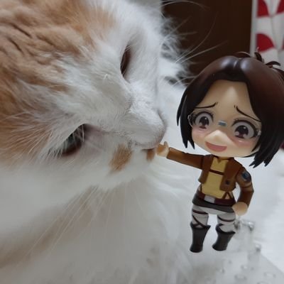 りょふさんのプロフィール画像