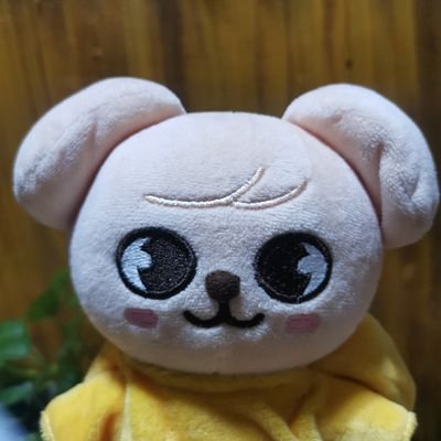 퍼핌 🐶さんのプロフィール画像