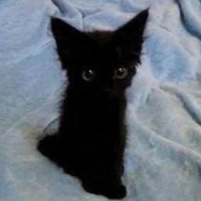 _TheSmut's profile picture. Hahahah just here for smut