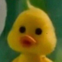 융 (@last_lalala) 's Twitter Profile Photo