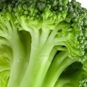 ueecoli's profile picture. 더 나은 즐거움