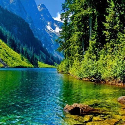 Hasan4_1_1956's profile picture. 