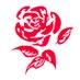 Somerset Labour Party 🌹🏳️‍🌈🏳️‍⚧️🇺🇦 (@SomersetLabour_) Twitter profile photo