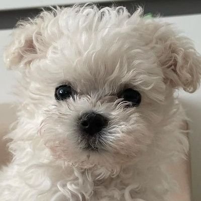 s_ssss____'s profile picture. 순태양! 달사막!