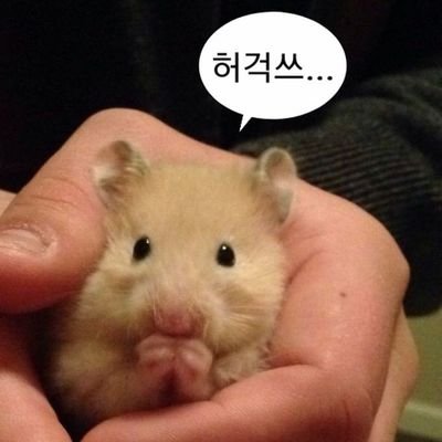 한국화(동양화) 전공/ 다목적공계/본계 :: DM