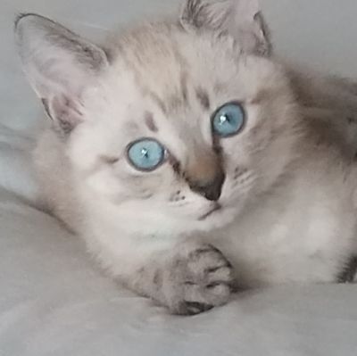 むらちゃんさんのプロフィール画像