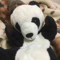 梅太郎5/4もうひとりの…東6ま29a (@megashotap) 's Twitter Profile