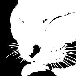 漫画描いてます。蕎麦と猫が好き。
ドラドラしゃーぷ#で【くらいあの子としたいこと】連載中 https://t.co/XVDPkuNbD3
fantia【https://t.co/Fu4uKCpE75】
✉ikari.manatsu〇https://t.co/bumX540TA7