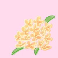 キンモクセイ (@kinmokusei4mdu) 's Twitter Profile Photo キンモクセイ (@kinmokusei4mdu) 's Twitter Profile Photo